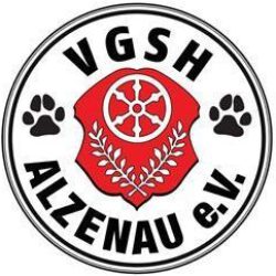VGSH-ALZENAU e.V.